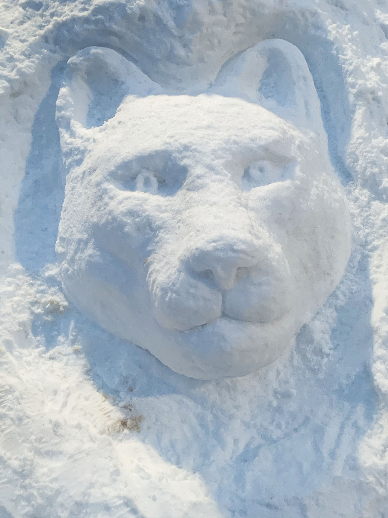 Caldwell University campus buried in snow – Caldwell University